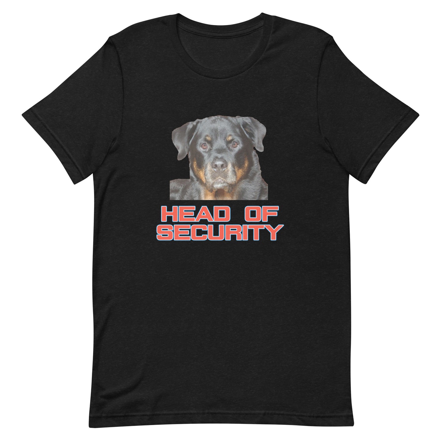 Head of Security